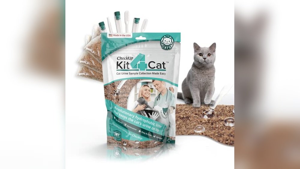 Best Litter for Cats With Urinary Problems