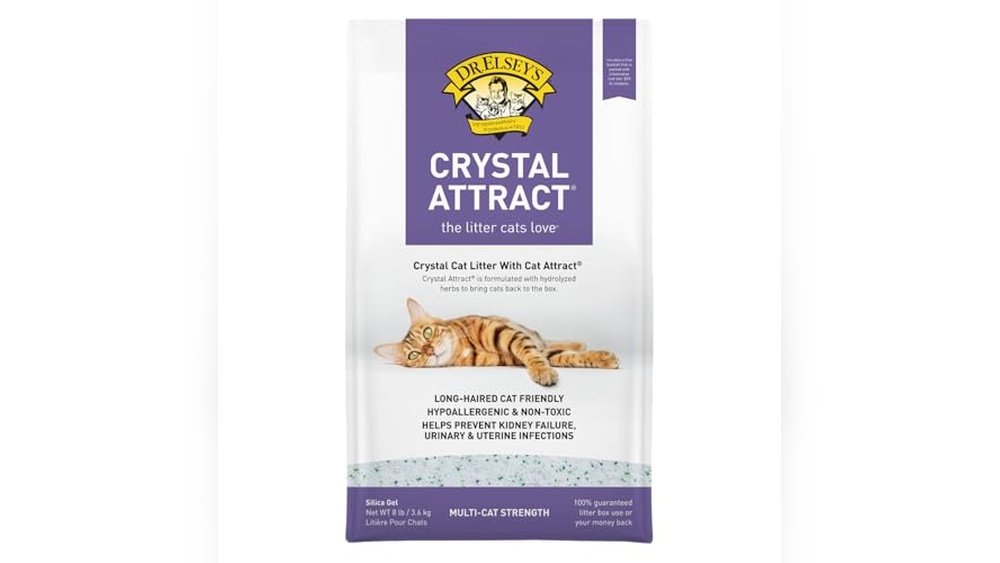 Best Litter for Long Haired Cats