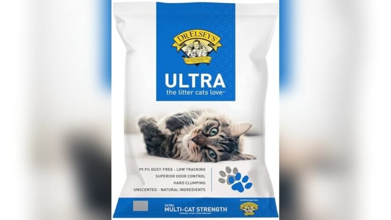 Best Litter for Picky Cats