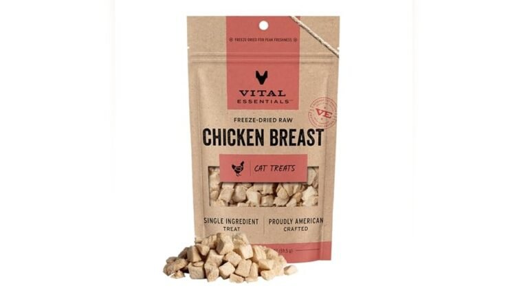 Best Meats for Cats