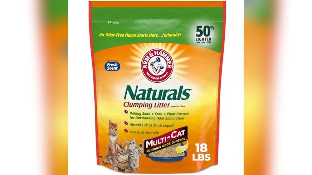 Best Natural Cat Litter for Odor Control