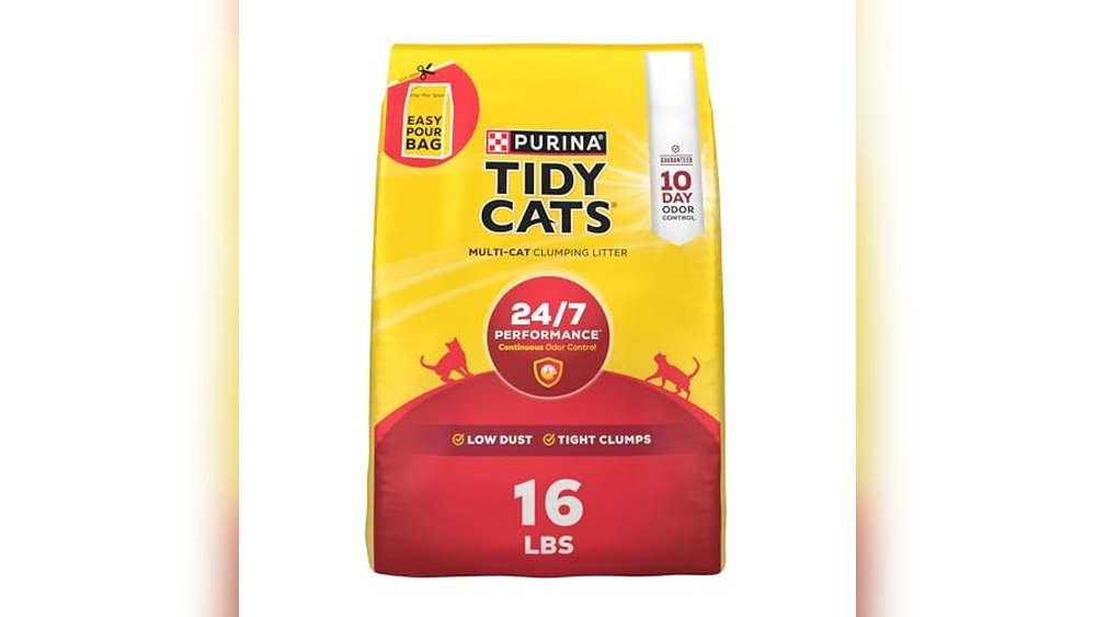 Best Non Clumping Cat Litter for Multiple Cats