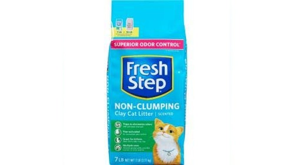Best Non Clumping Cat Litter for Odor