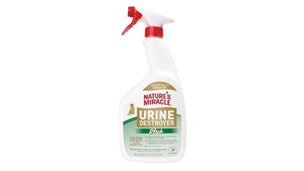 Best Odor Eliminator for Cat Urine