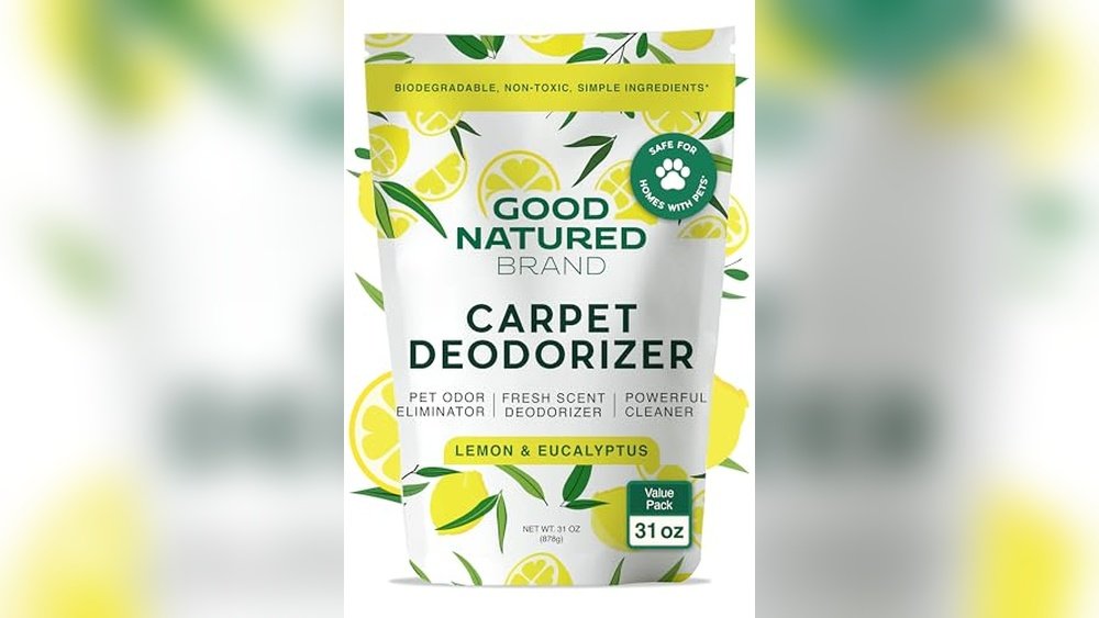 Best Odor Remover for Carpet