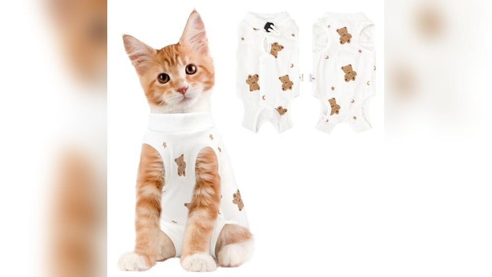 Best Onesie for Cat for Over Grooming