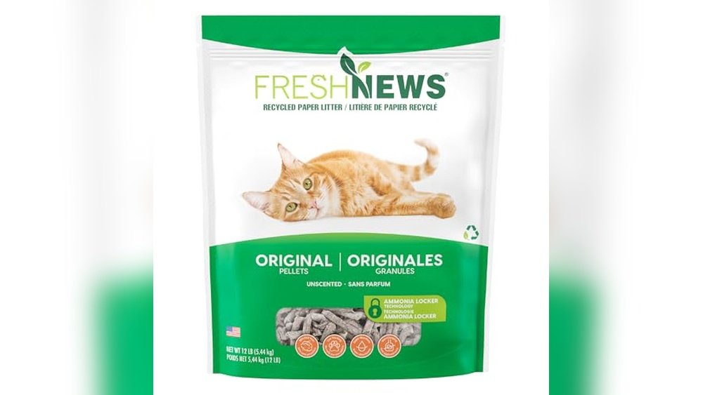Best Pellet Litter for Cats