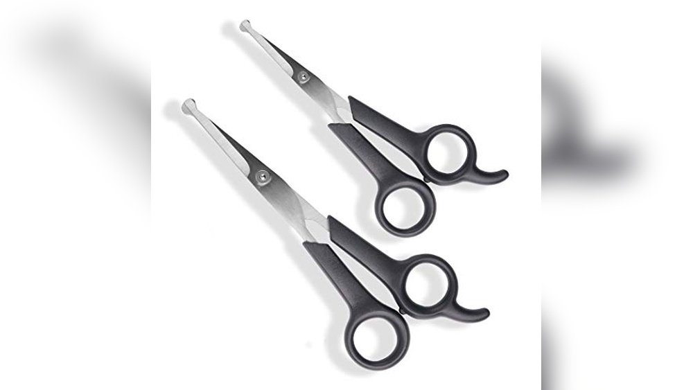 Best Pet Grooming for Sensitive Cats near Me