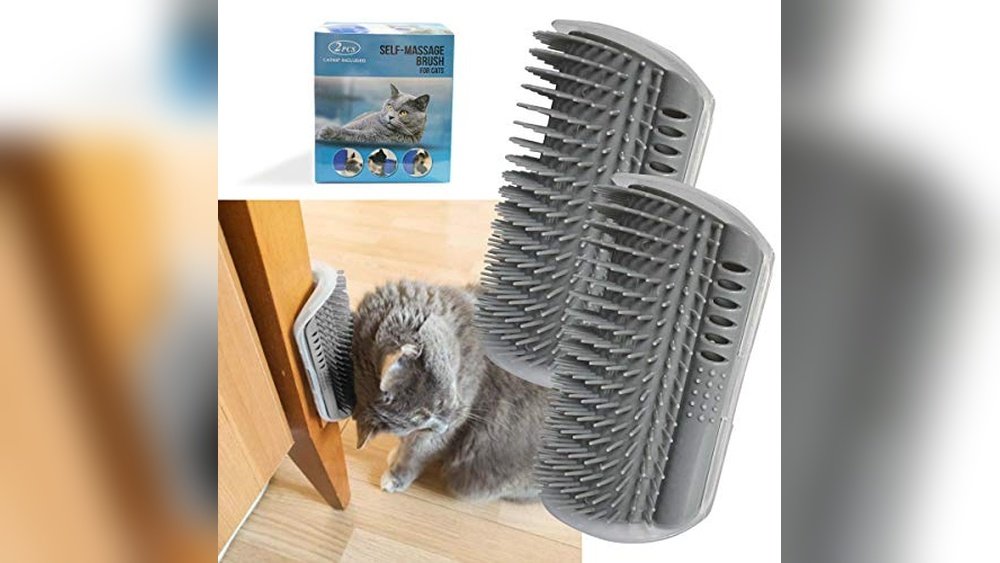 Best Place for Cat Grooming