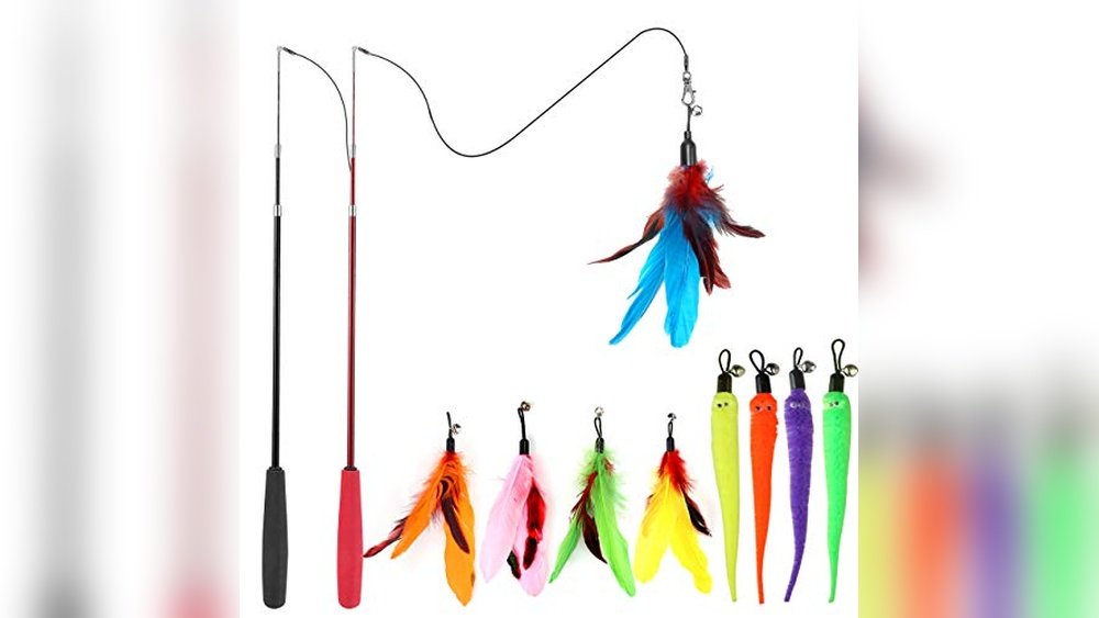 Best Place for Cat Toys