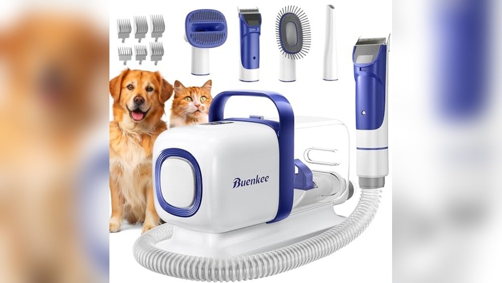 Best Place for Dog Grooming near Me