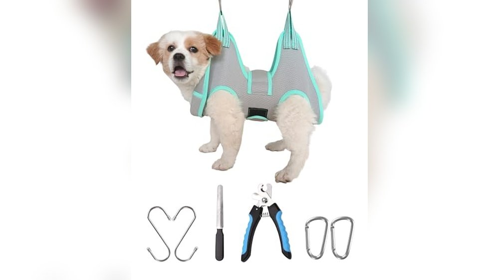 Best Place for Dog Grooming