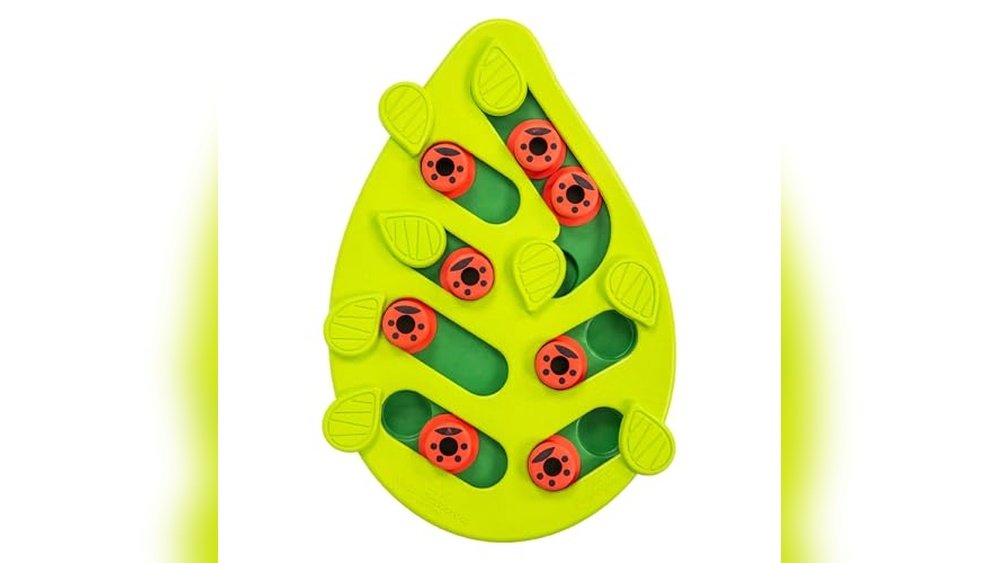 Best Puzzle Toys for Cats