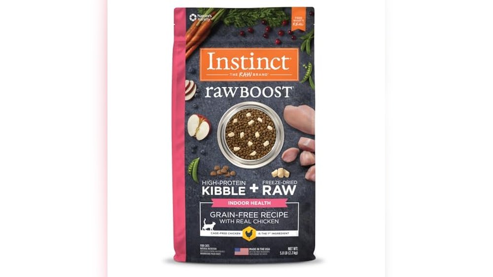 Best Raw Cat Food for Indoor Cats