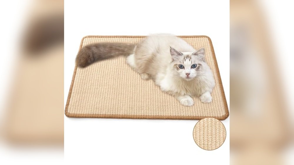 Best Rugs for Cats Who Scratch