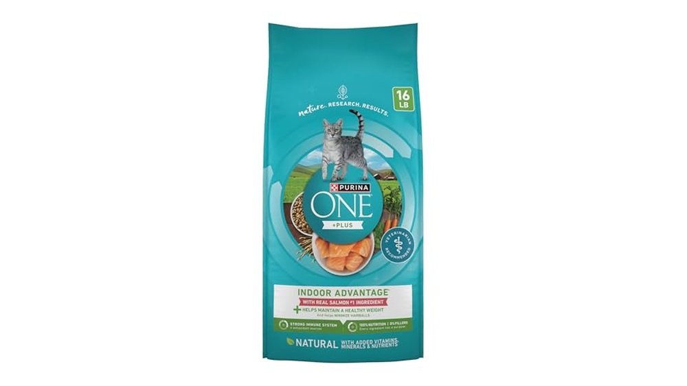 Best Salmon Cat Food for Indoor Cats