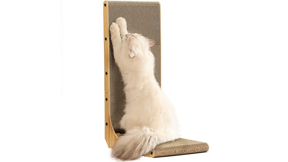 Best Scratch Pads for Cats