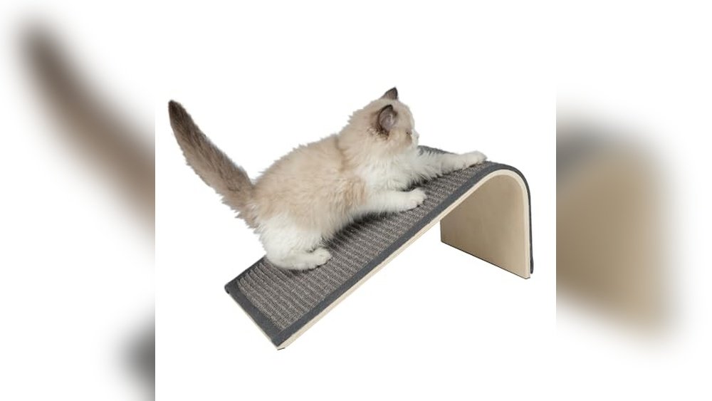 Best Scratching Post for Cats Nails