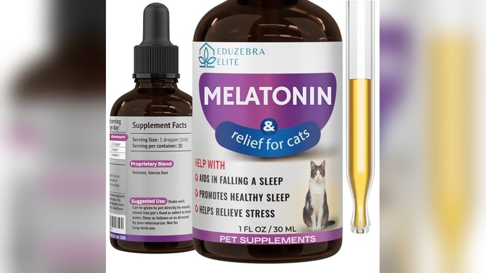 Best Sedative for Cats for Grooming