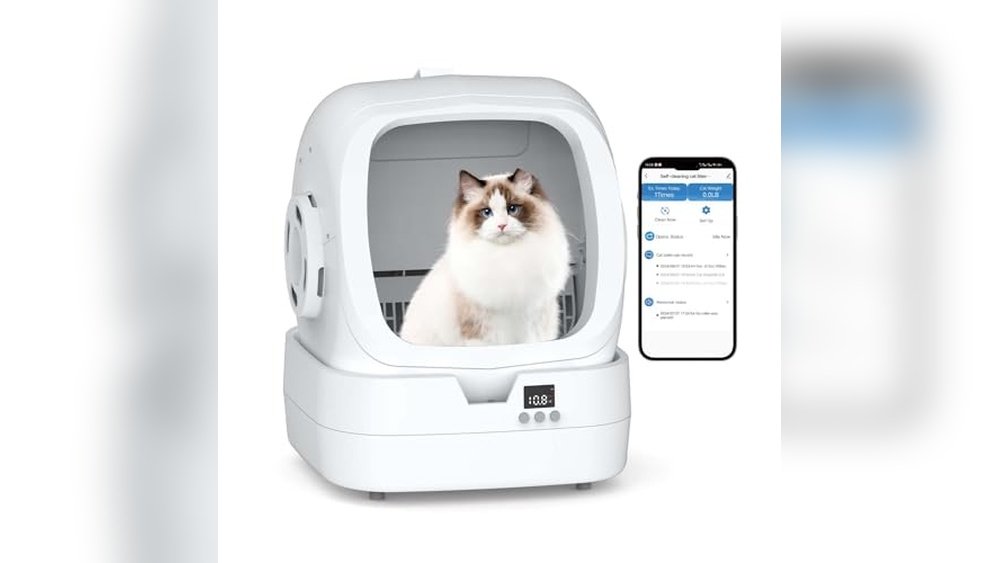 Best Self Cleaning Litter Box for Large Cats