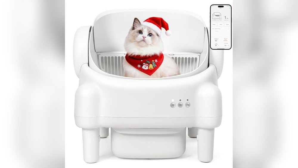 Best Self Cleaning Litter Boxes for Multiple Cats