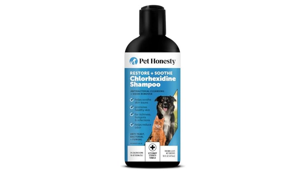 Best Shampoo for Cats With Allergies