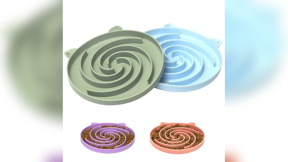 Best Slow Feeder for Cats