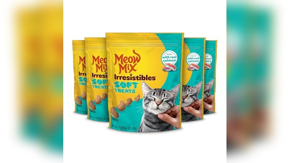 Best Soft Treats for Cats