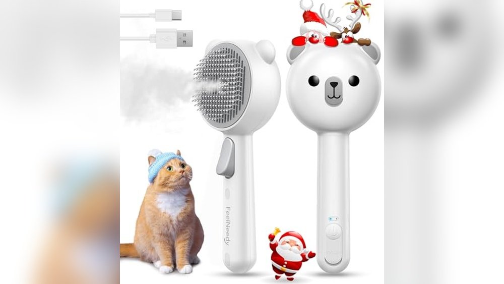 Best Steam Brush for Cats