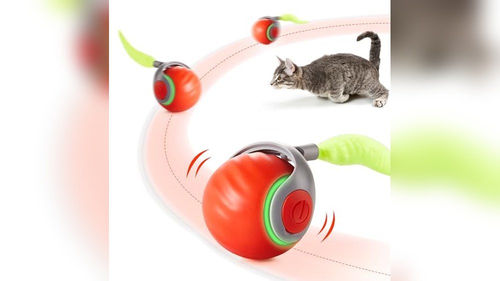 Best Toys for Bengal Cats