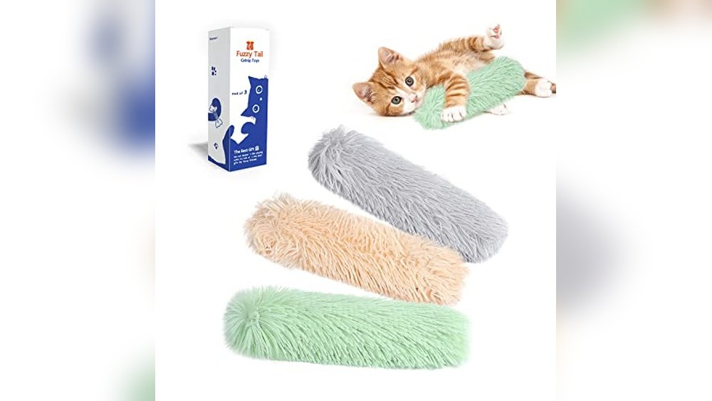 Best Toys for Blind Cats