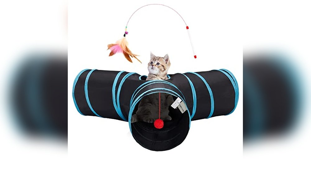 Best Toys for Kittens