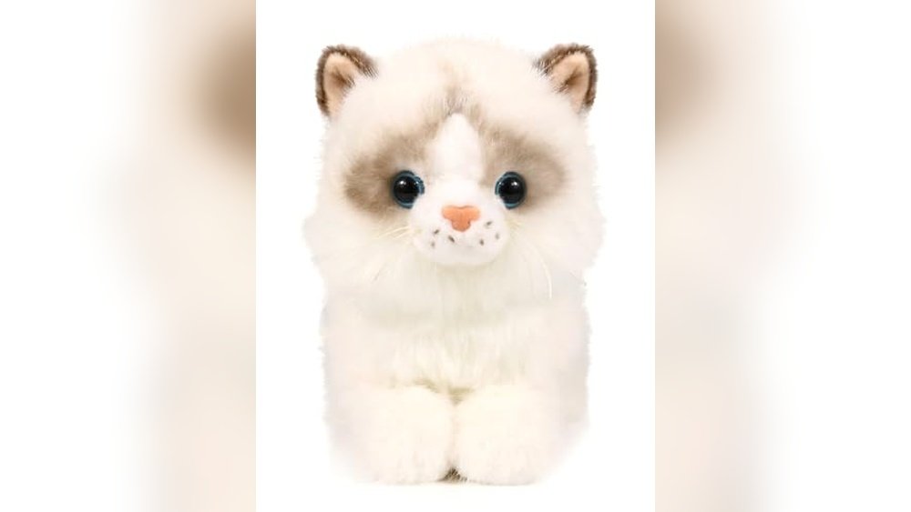 Best Toys for Ragdoll Cats