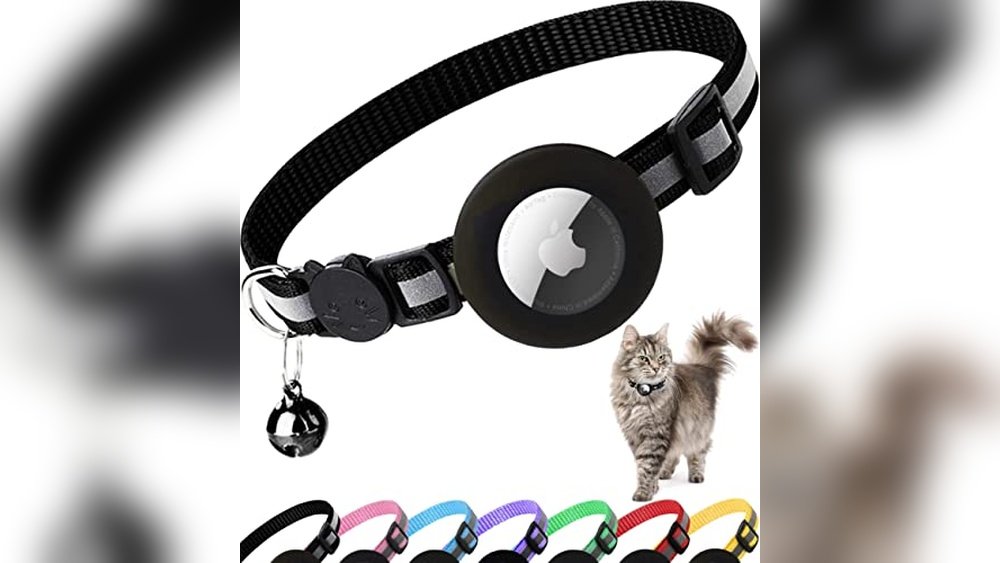 Best Tracking Collar for Cats