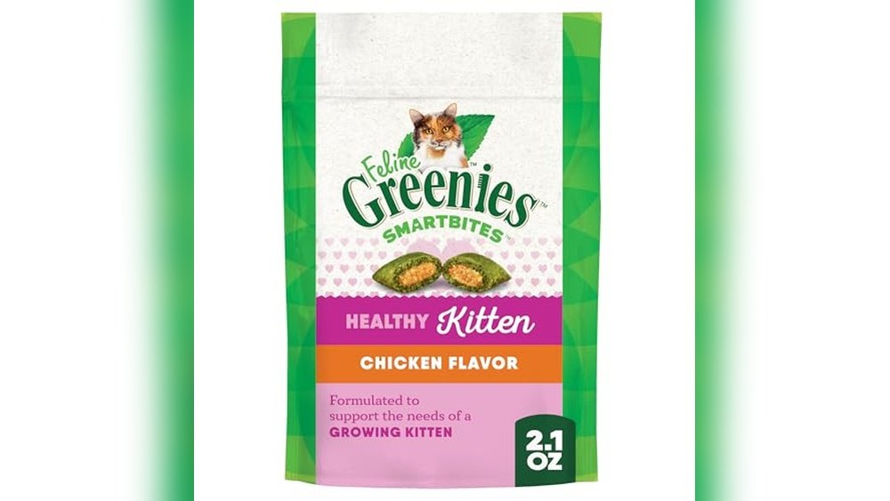 Best Treat for Kittens