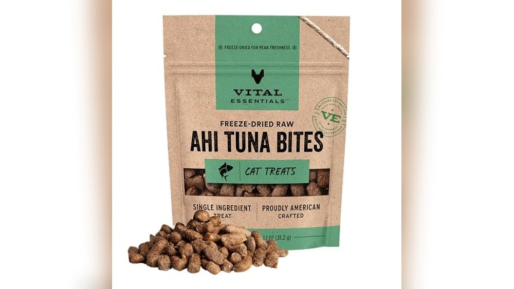 Best Treats for Diabetic Cats