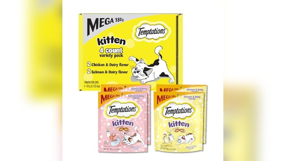 Best Treats for Kittens
