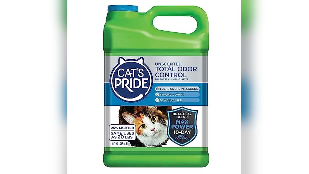 Best Unscented Clumping Cat Litter for Odor Control