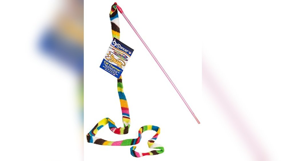 Best Wand Toys for Cats