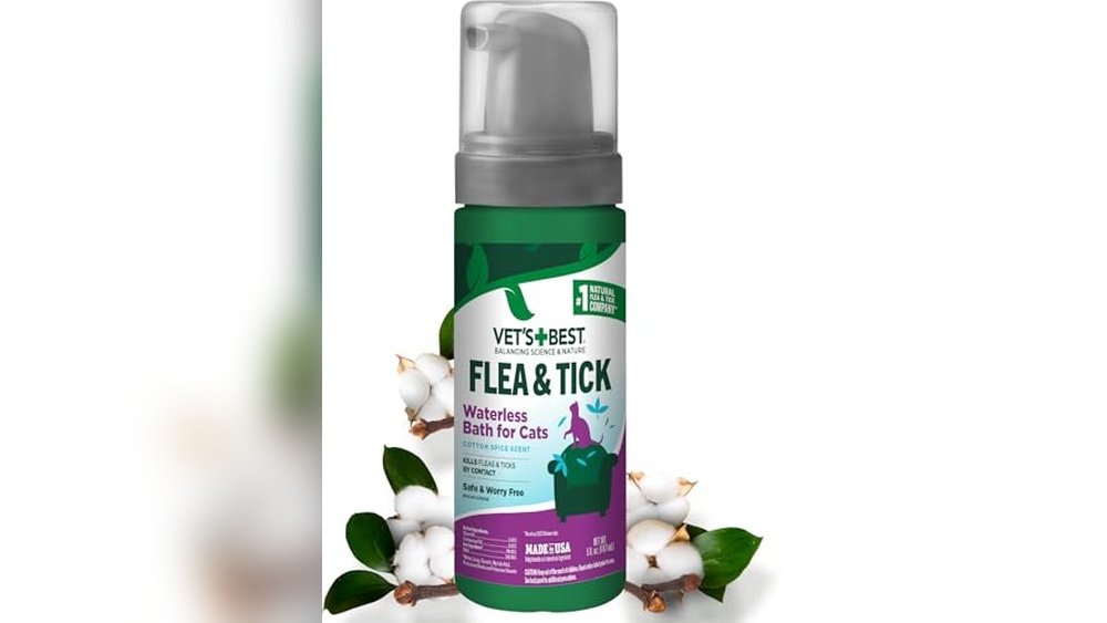 Best Waterless Flea Shampoo for Cats
