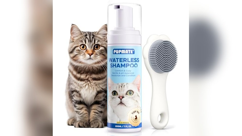 Best Waterless Shampoo for Cats