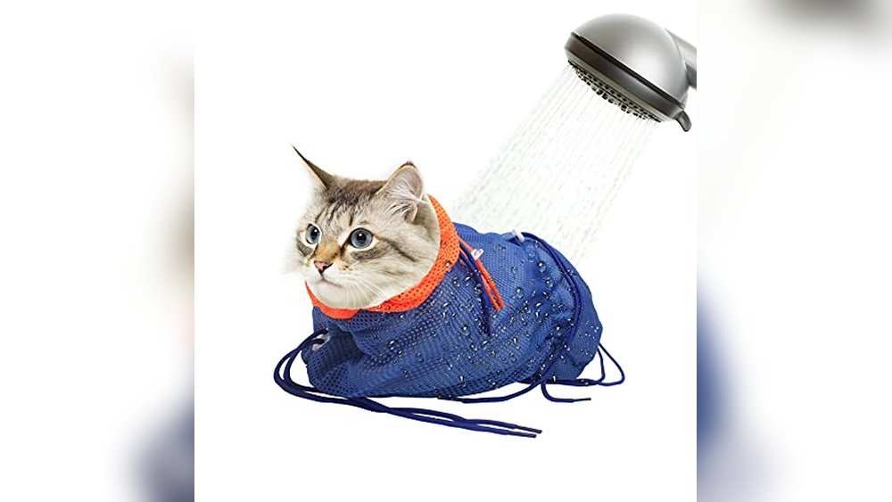 Best Way for You to Groom Your Cat