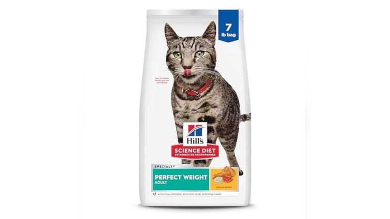 Best Weight Control Food for Cats