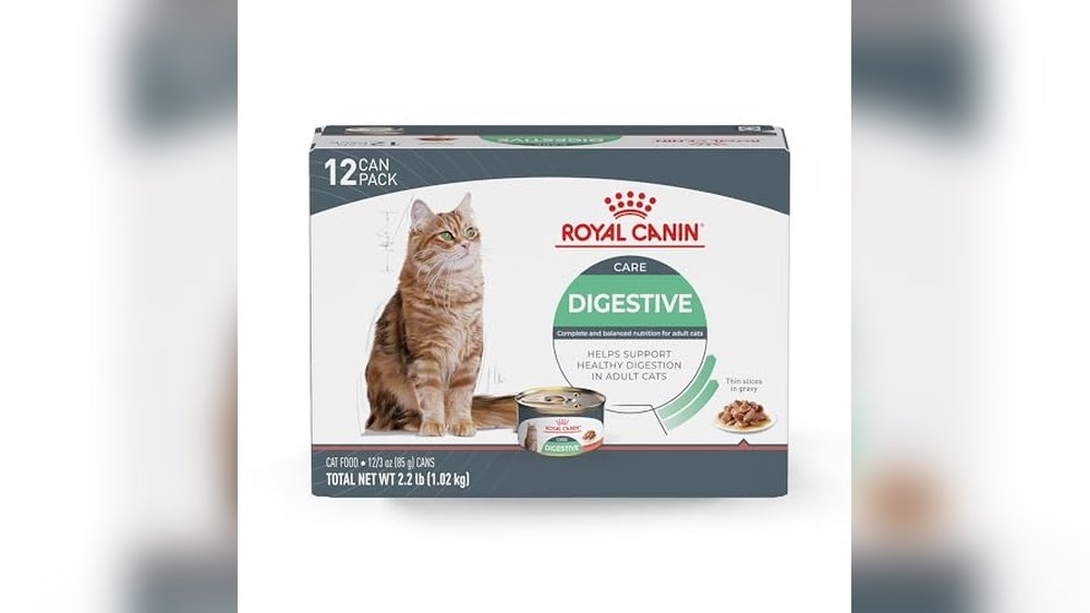 Best Wet Cat Food for Ibd