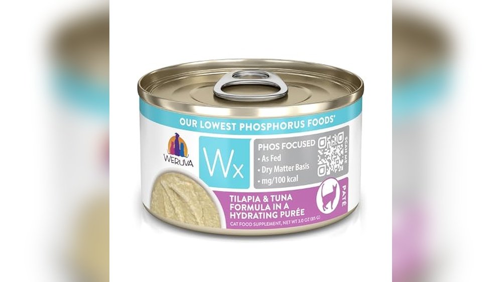 Best Wet Cat Food for Kidney Problems