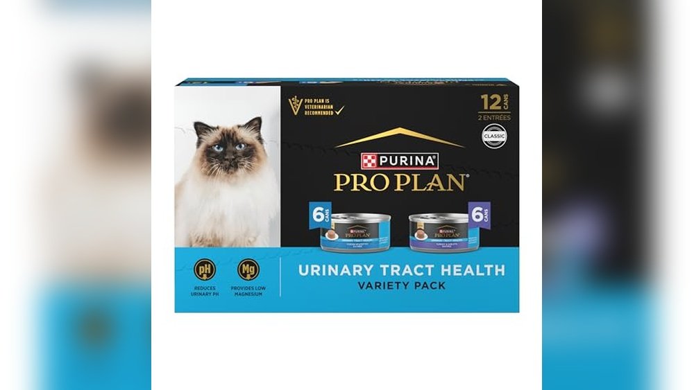 Best Wet Cat Food for Urinary Tract Health