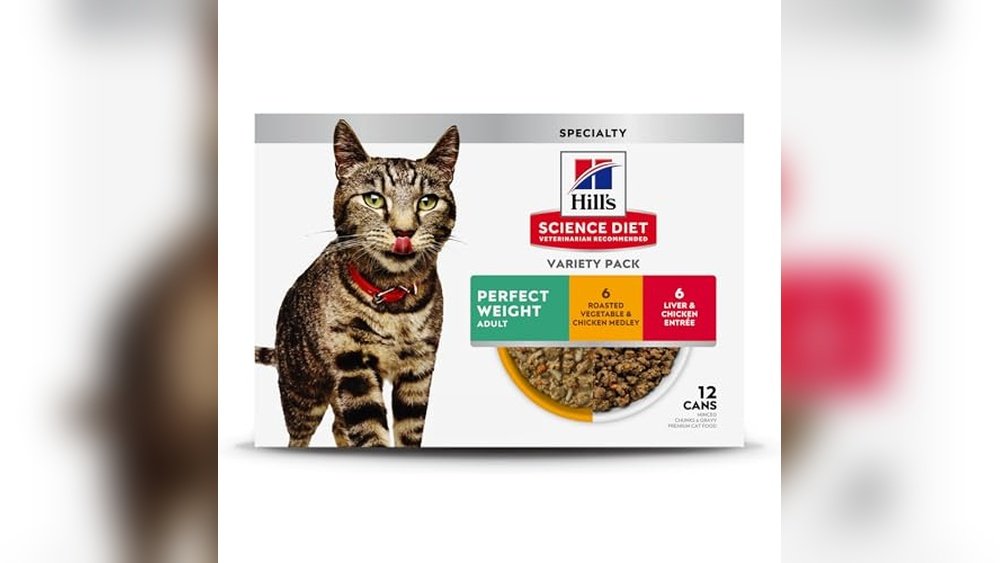 Best Wet Food for Overweight Cat