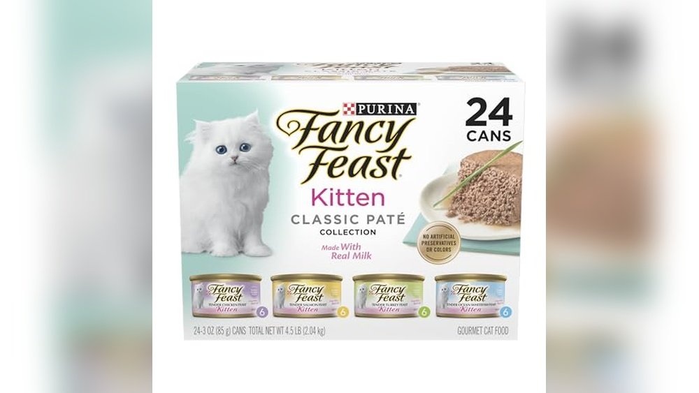Best Wet Kitten Food for Indoor Cats