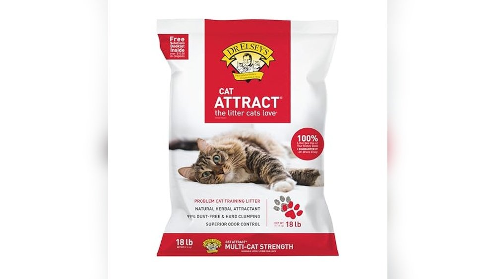 How to Stop Cat from Tracking Litter