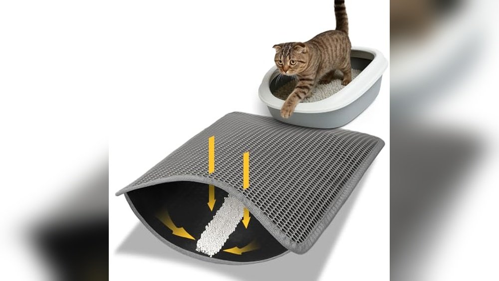 Litter Tracking Solutions for Apartments